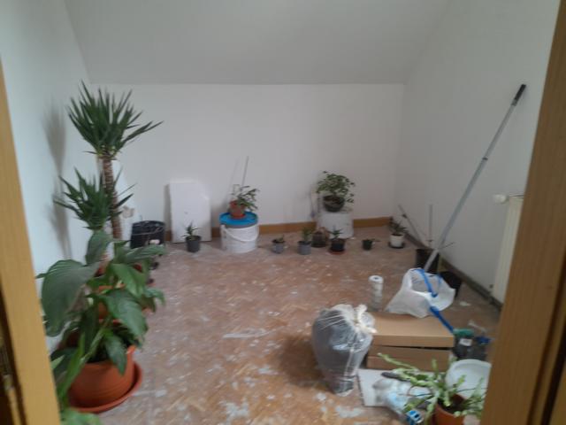 DG Bereich Einfamilienhaus Piesau