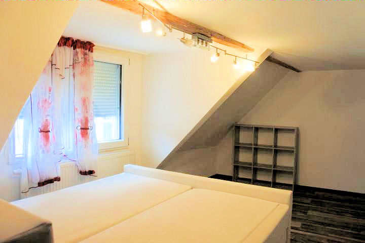 DSC 3000 Einfamilienhaus Buttst�dt