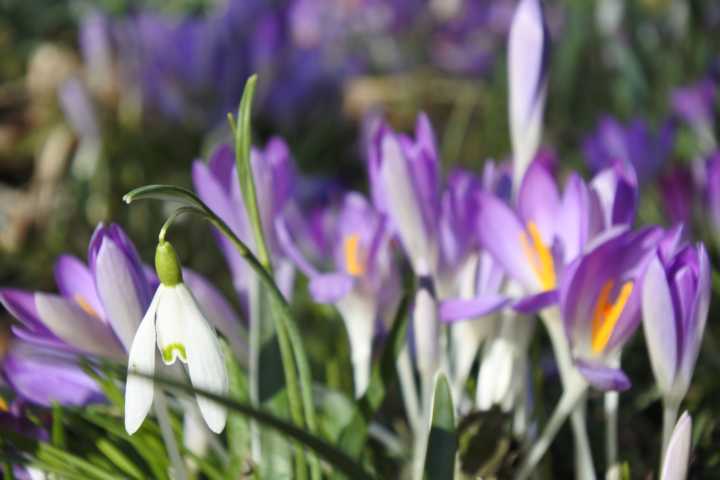  Cadolzburg Einfamilienhaus Ihr neues Zuhause im Skandinavischen Stil...- ideal f�r Familien mit Kindern...