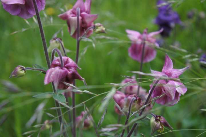  Zweifamilienhaus Wutha-Farnroda