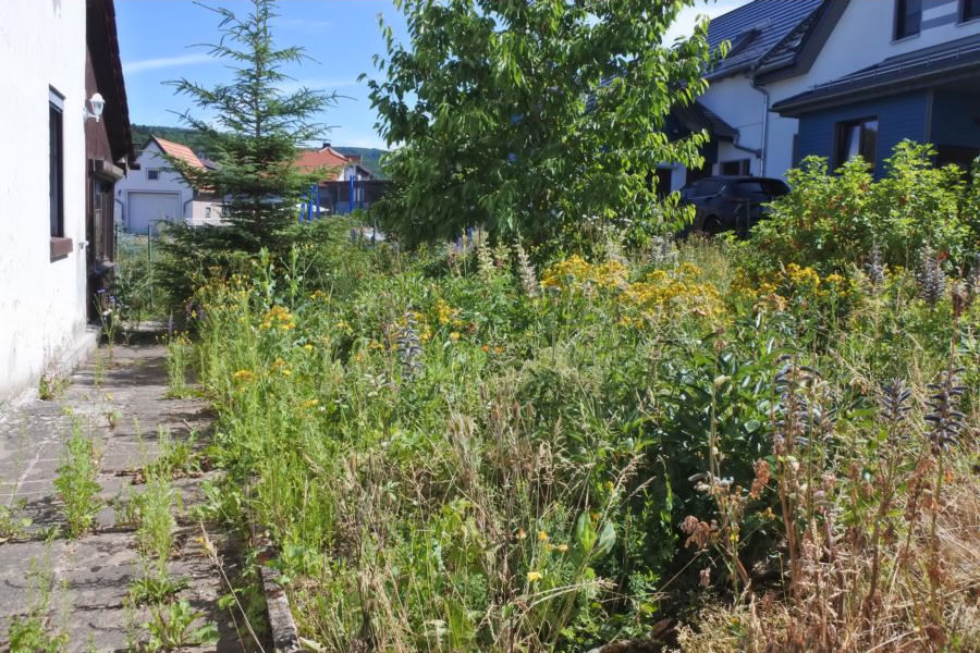 Gartenbereich Einfamilienhaus Kaltennordheim