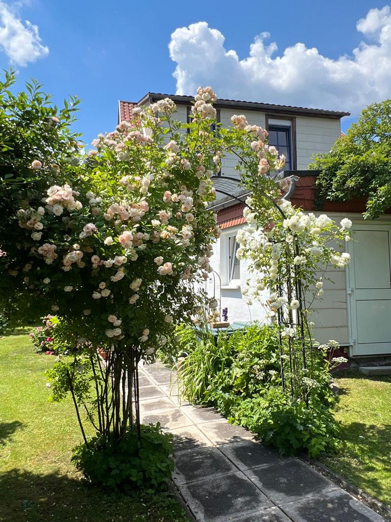 IMG 20260626 WA0004 Einfamilienhaus Ilmenau