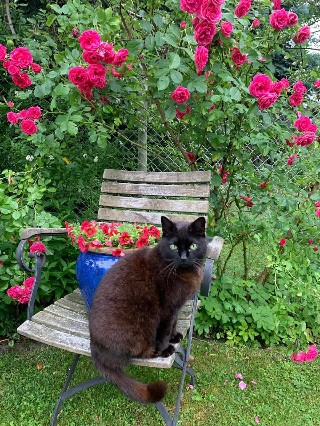  Einfamilienhaus Ilmenau