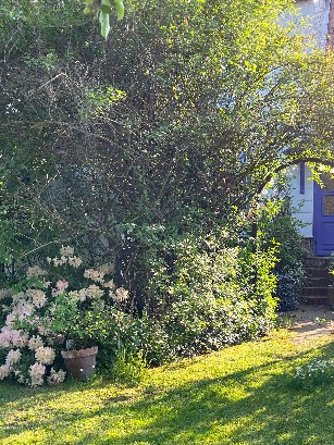  Einfamilienhaus Geschwenda Ilmkreis